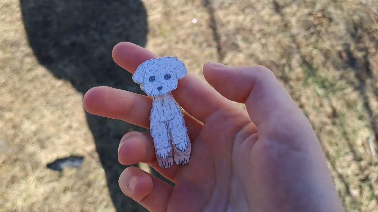 Новый щенок???где собаки