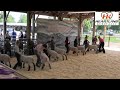 Sheridan County Fair