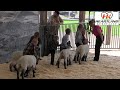 Sheridan County Fair