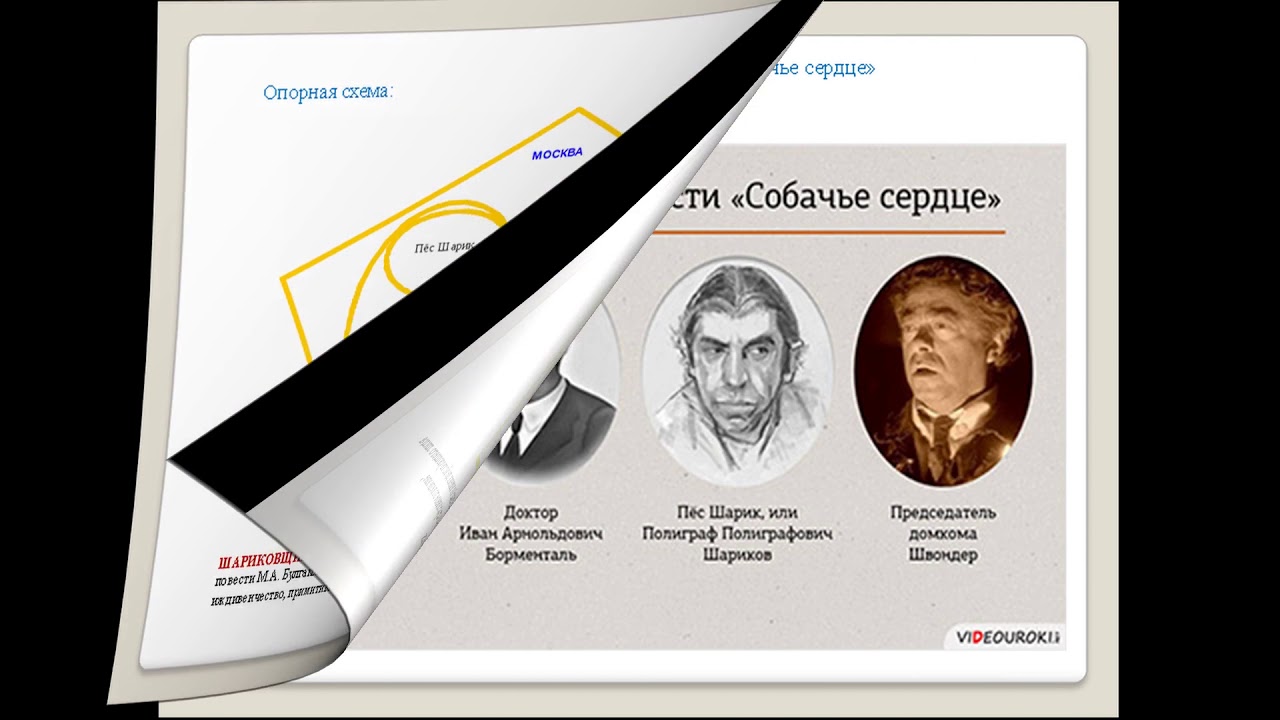 "Собачье сердце" Система образов повести - YouTube