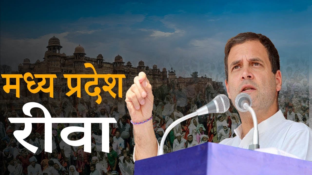 LIVE: Congress President Rahul Gandhi addresses public meeting in Rewa, Madhya Pradesh