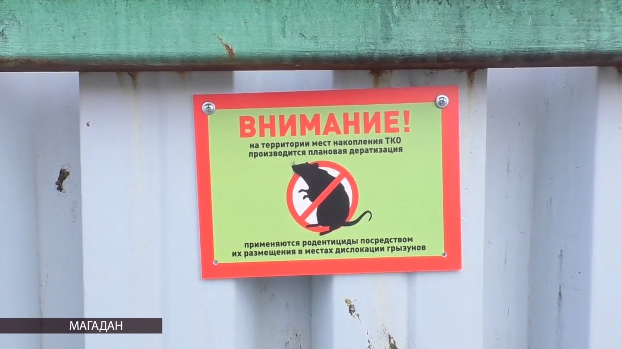 В Магадане проводят дератизацию - YouTube