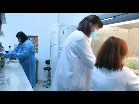 ბათუმის შოთა რუსთაველის სახელმწიფო უნივერსიტეტის ფიტოპათოლოგიისა და ბიომრავალფეროვნების ინსტიტუტი