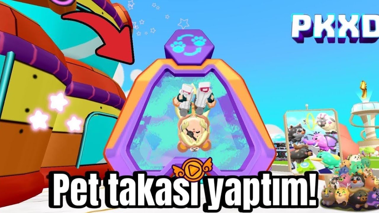 Pet takası yaptım 💕