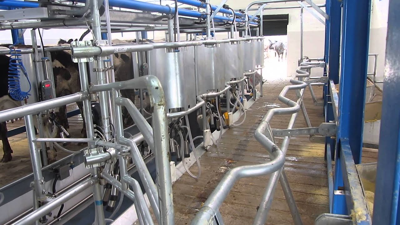 Sala de Ordeño Doble 05 - 10 Unidades - Espina de Pescado Legend