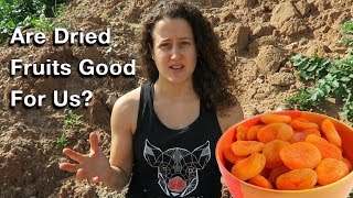 Is Eating Dried Fruits Healthy?