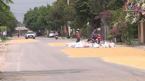 Cần chấn chỉnh tình trạng phơi lúa, rơm rạ trên đường tiềm ẩn nguy cơ mất an toàn giao thông