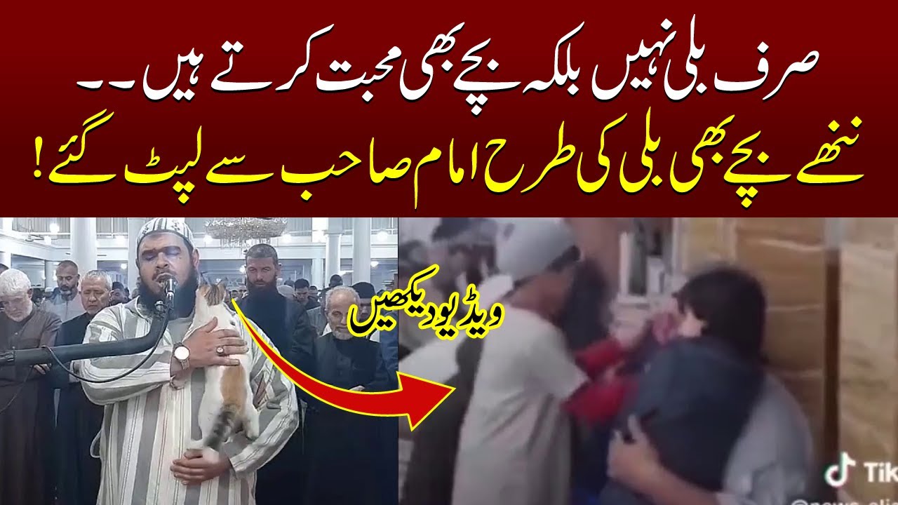 Cat jumps on imam leading Ramadan prayers in Algeria, New video viral