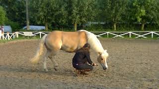 Laura - Liberté - Le Bélian - 25-05-2018