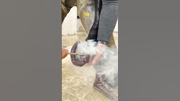 Hot fitting Ren shoes #horseshoe #keeping horses