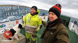 Schafe treiben auf einer kleinen schottischen Insel screenshot 3