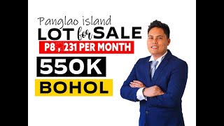 Subdivided lot for sale @San isidro, Dauis, Bohol @Panglao Island 100sqm lot cut