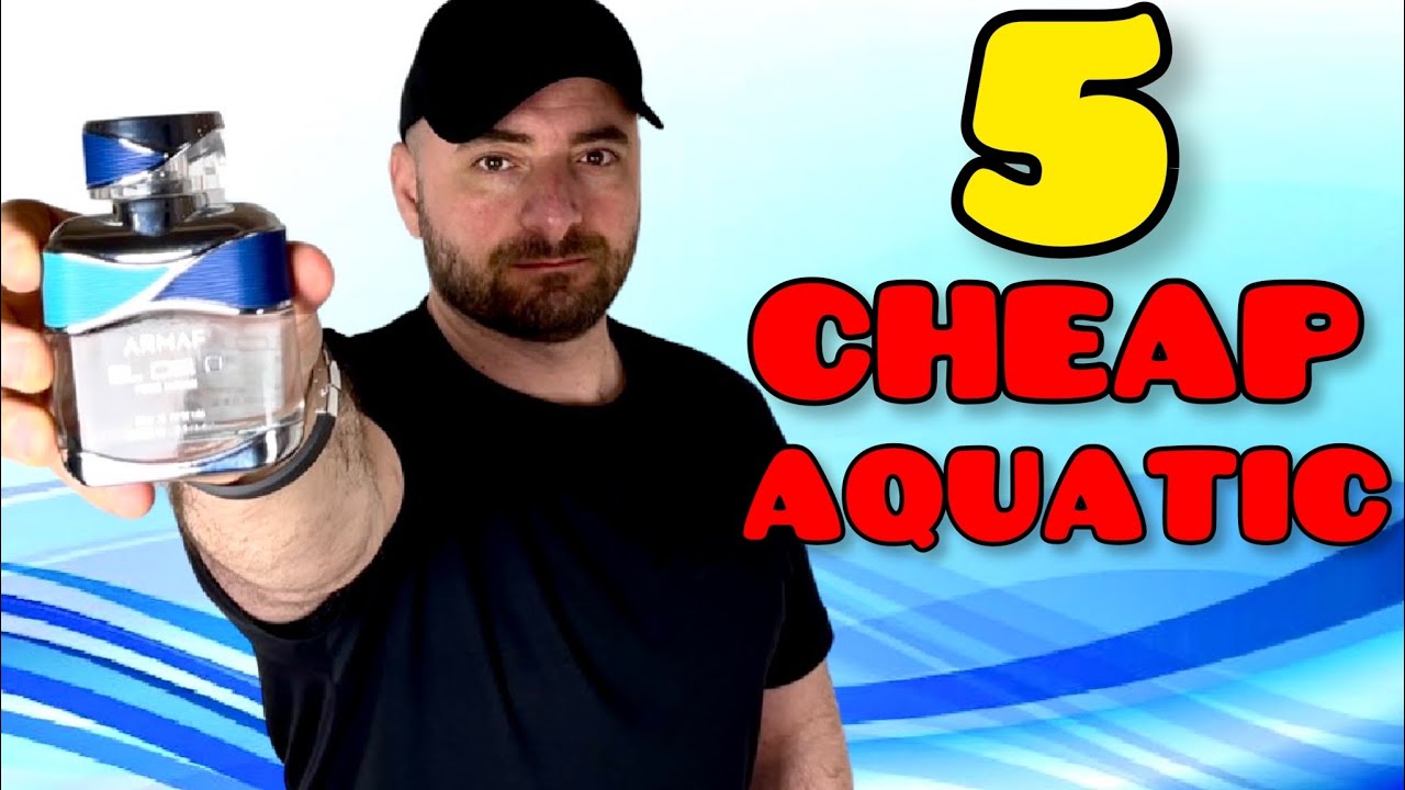 Top 5 Best CHEAP AQUATIC Summer Fragrances Mens cologne perfume