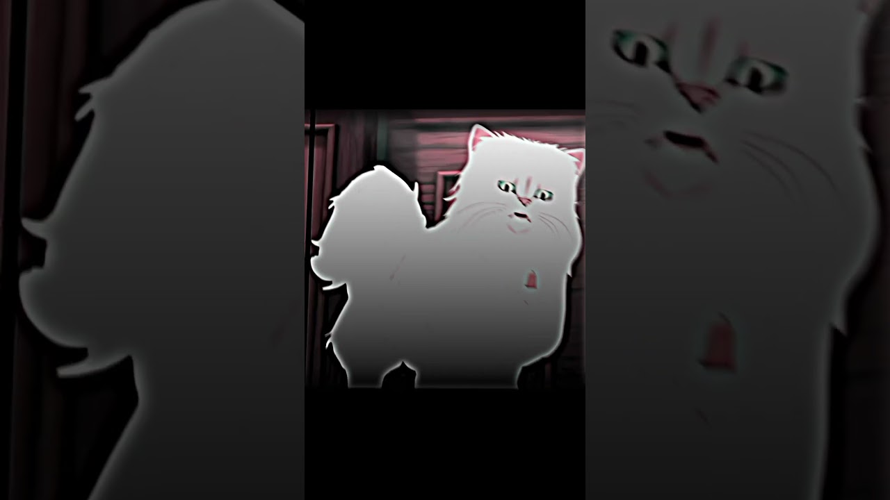 "The Prophet’s Cat 🐾 A Sunnah of Kindness"