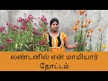 Mother in laws small garden in uk  london tamil gadening  kayal from uk