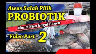 Tak Paham Probiotik Dalam Bioflok | Gagal Panen dan Ikan Mati Banyak | Video ke 2 (selesai)