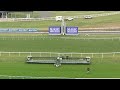Caulfield trials LIVE - October 1