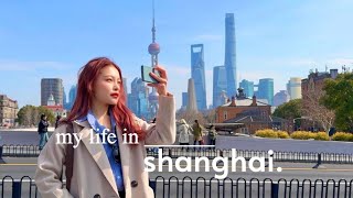 life in shanghai ๐ฅข best bakeries, crab roe rice ๐ฆ shopping, in my dog mum era, trendy spots!