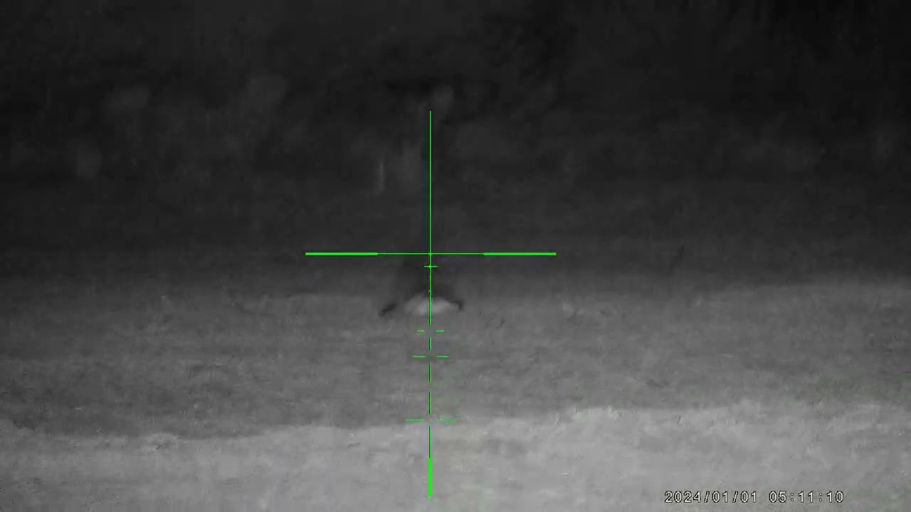 nueva mira hembaker cy 900