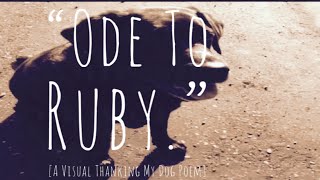 🐶❤️ Visual Poetry That Rhymes - Daughter Grieving Loss Of Loved Mum | Dog Thanks Poem 🐶❤️ Visual Poetry That Rhymes - Daughter Grieving Loss Of Loved Mum | Dog Thanks Poem