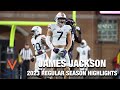 James jackson 2023 regular season highlights  virginia lb