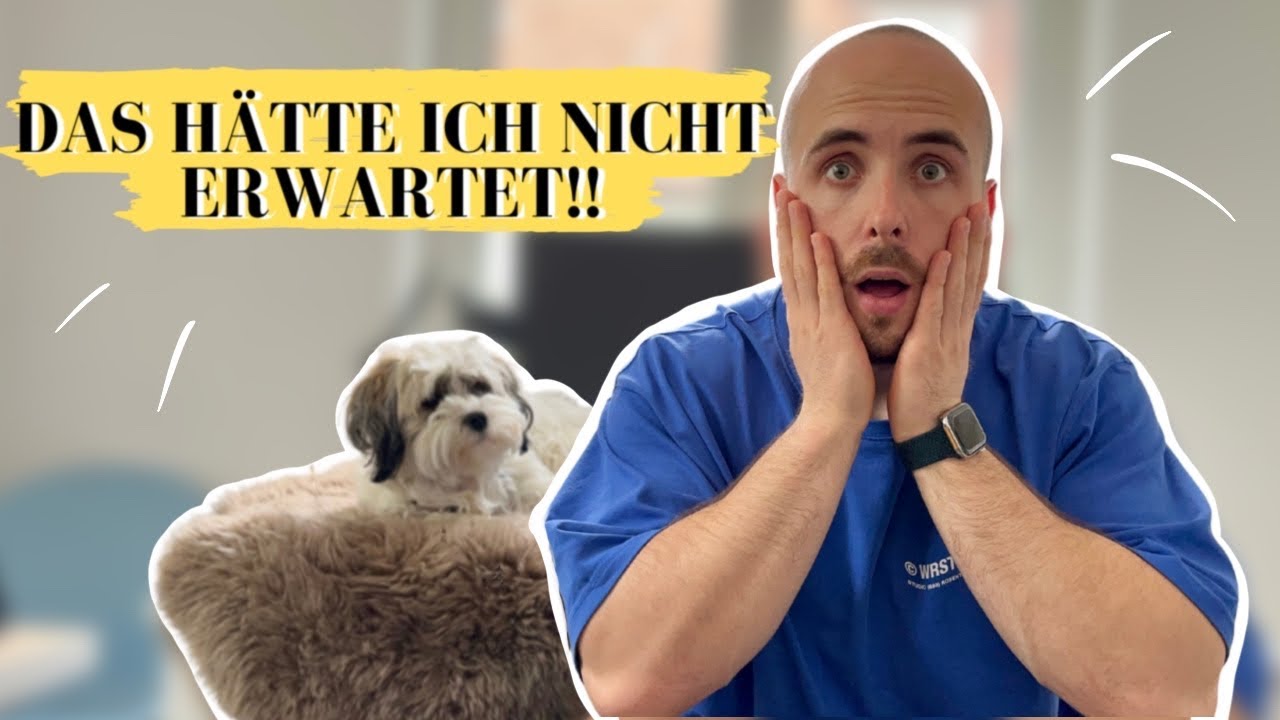 Darf man Trockenfutter und Nassfutter mischen?