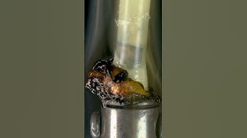 Feather vs Soldering Iron #closeup #macro #satisfying #asmr #asmrvideo