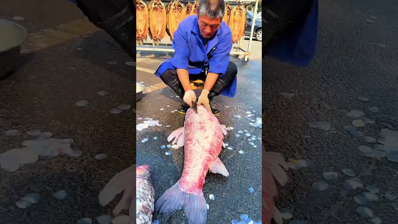 Big Fish Surprise in My Rural Life!Pickled Fish Adventure