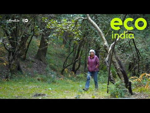 Eco India: An Eco-tourism Model That Focuses On Forest Conservation And Building The Local Economy