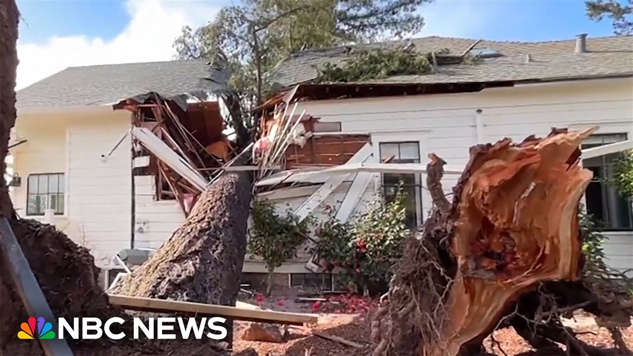 Videos show downed trees and damage after strong California storms