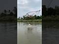 cathcing big fish by cast net🐬 #villagerlifestyle #dailyfishinglife #fish