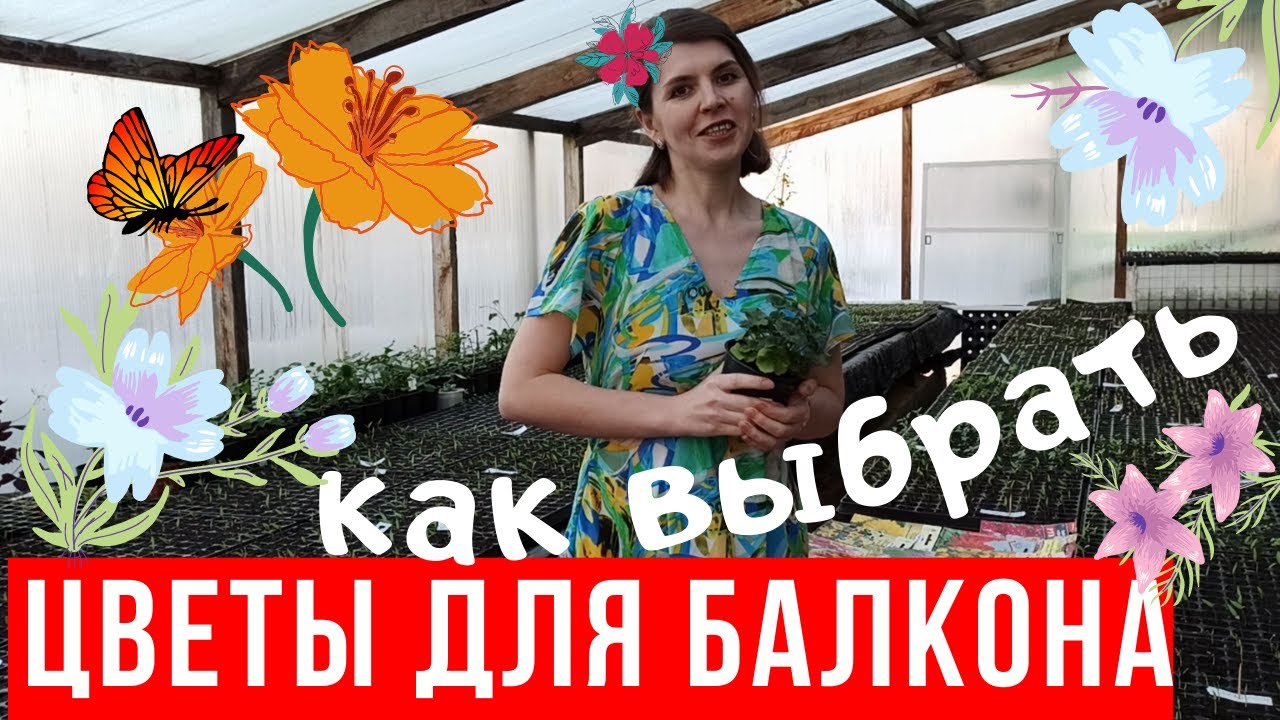 Цветы для балкона: как выбрать?