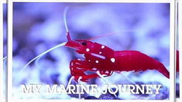 FTRTV - Episode 1 Reef Aquarium Plumbing