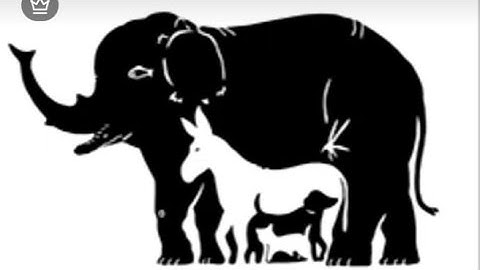 IQ - TEST .99% FAIL THIS ....