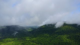 Soar above the trees and into the clouds over the Tuscarora State Forest in 4k