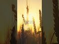 Lyric Video JUNIEL 주니엘 너에게 주고 싶은 세가지 Lyric Video JUNIEL 주니엘 너에게 주고 싶은 세가지
