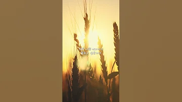 Lyric Video JUNIEL 주니엘 너에게 주고 싶은 세가지 