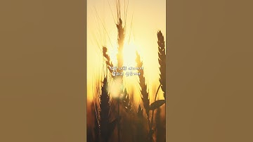 Thumbnail of [Lyric video] JUNIEL(주니엘) - 너에게 주고 싶은 세가지