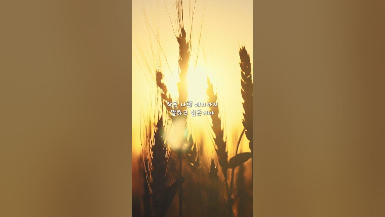 [Lyric video] JUNIEL(주니엘) - 너에게 주고 싶은 세가지