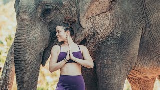 10 Min Vinyasa Flow with an Elephant 🐘