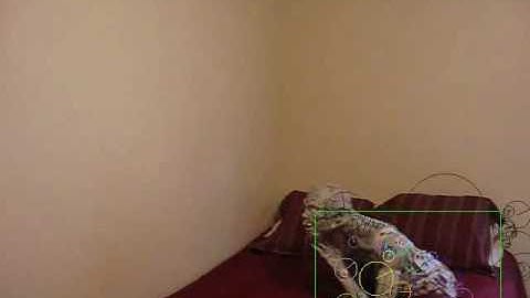 Computer Vision Final Project - SURF Tracking - Zombie