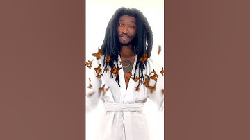 Crawl➡️Walk➡️Run 🔄 #bamskelly #manifestmusic #freeformlocs #naturalhair #locs