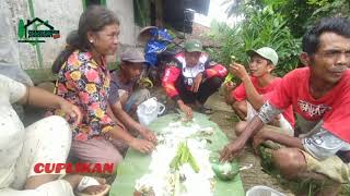 suasana di pedesaan jawabarat lagi moe padi bareng ibu ibu sambil botram aduh sangat seru sekali