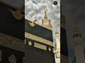 allah 💟#ternding #fullpublic #viralvideo #islamicshorts #madina #newvideo