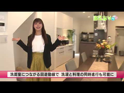 【あんてなサン】おとなりサン「ヤング開発｣