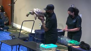 Help! There Are Creatures in the Masjid! | Tracy the Animal Guy at Annual Family Fun Fall Fest