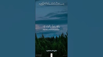 يوم تجد كل نفس ما عملت | سورة آل عمران | ماهر المعيقلي #قرآن #اكسبلور #ذلك_الدين_القيم