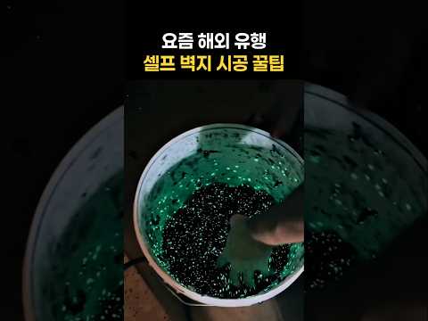 해외에서 난리난 벽지 인테리어, 초보도 가능한 셀프 벽 시공 꿀팁