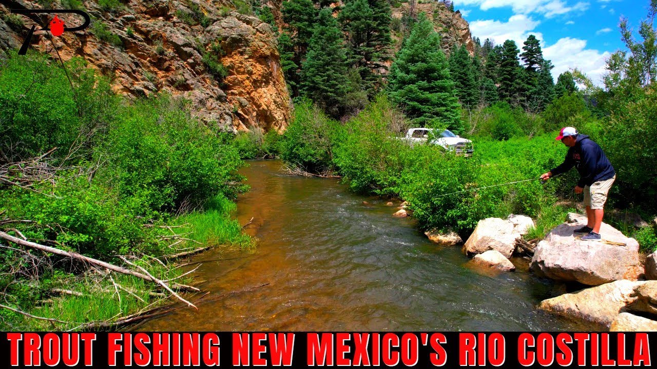 Trout Fishing New Mexico's Rio Costilla YouTube