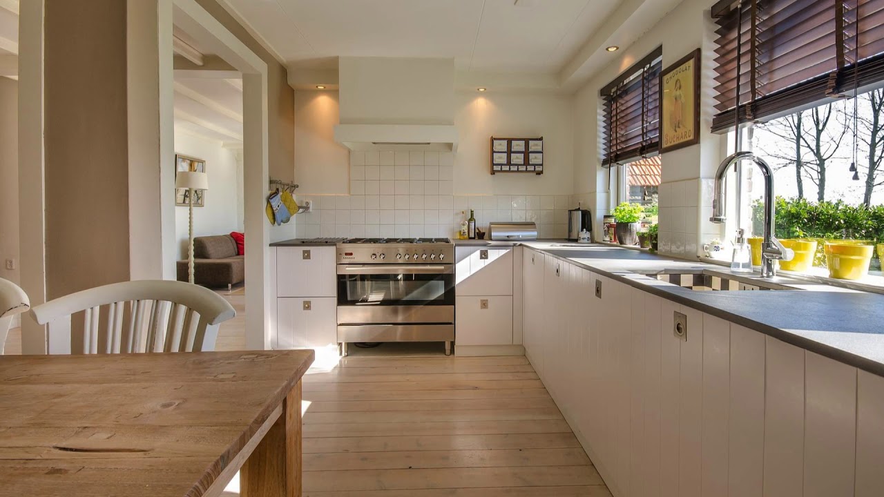 9 Tips For Choosing Pet Friendly Furniture YouTube